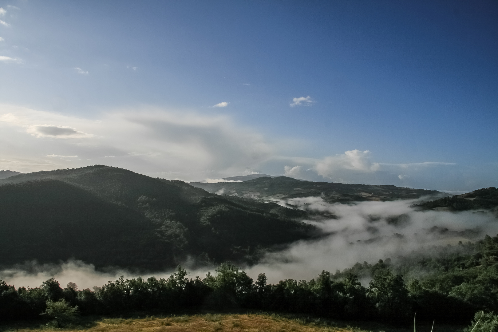 Umgeben vom Nebel