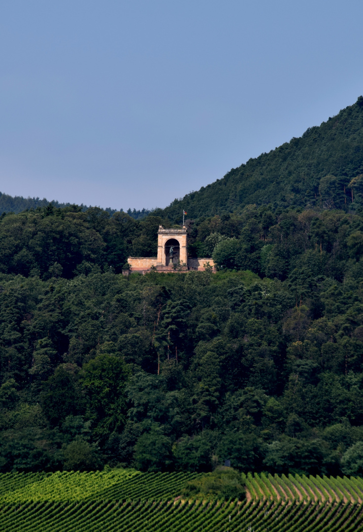 Umgeben von Wald