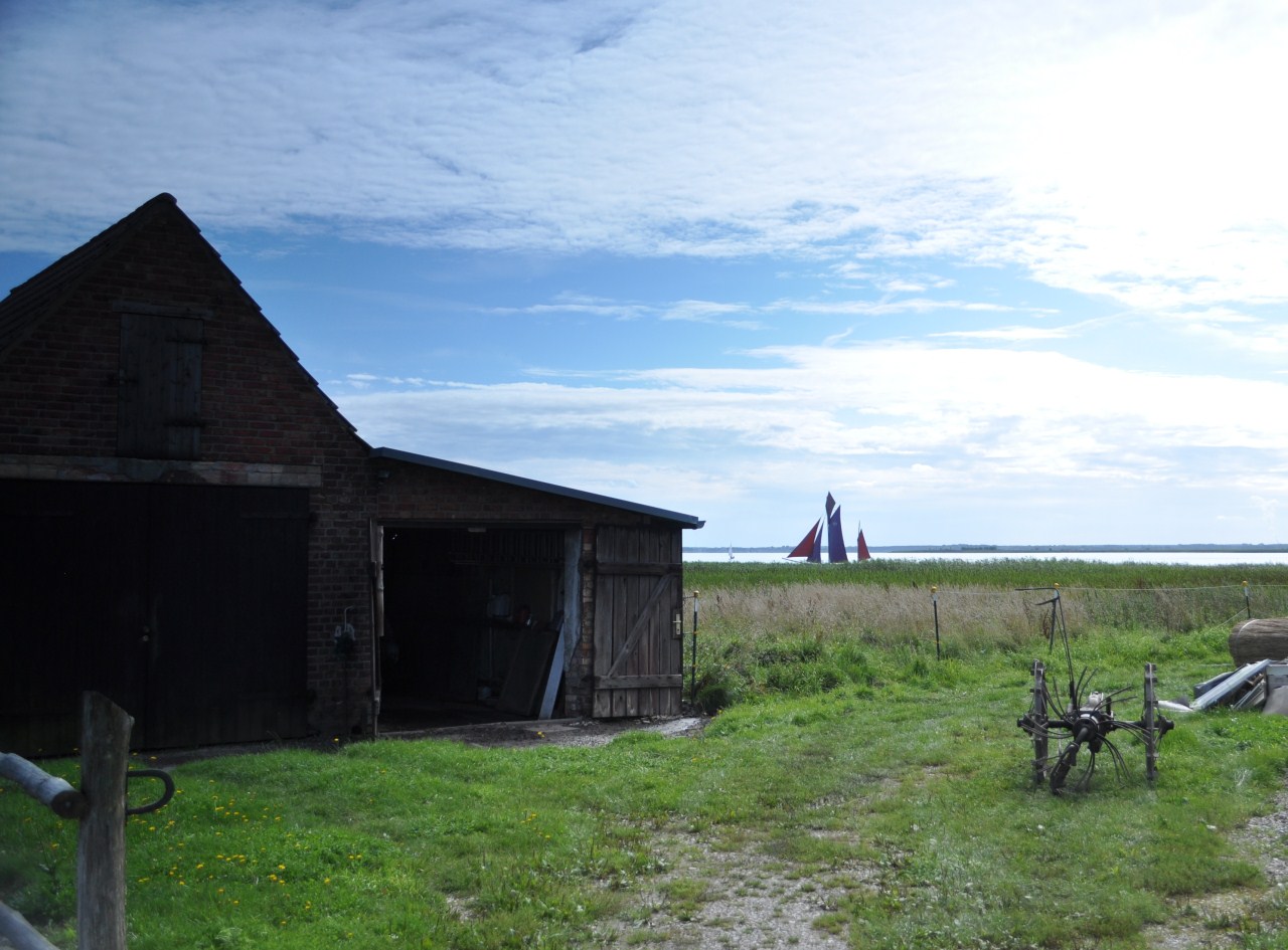 Umgebung des Darßer Bodden