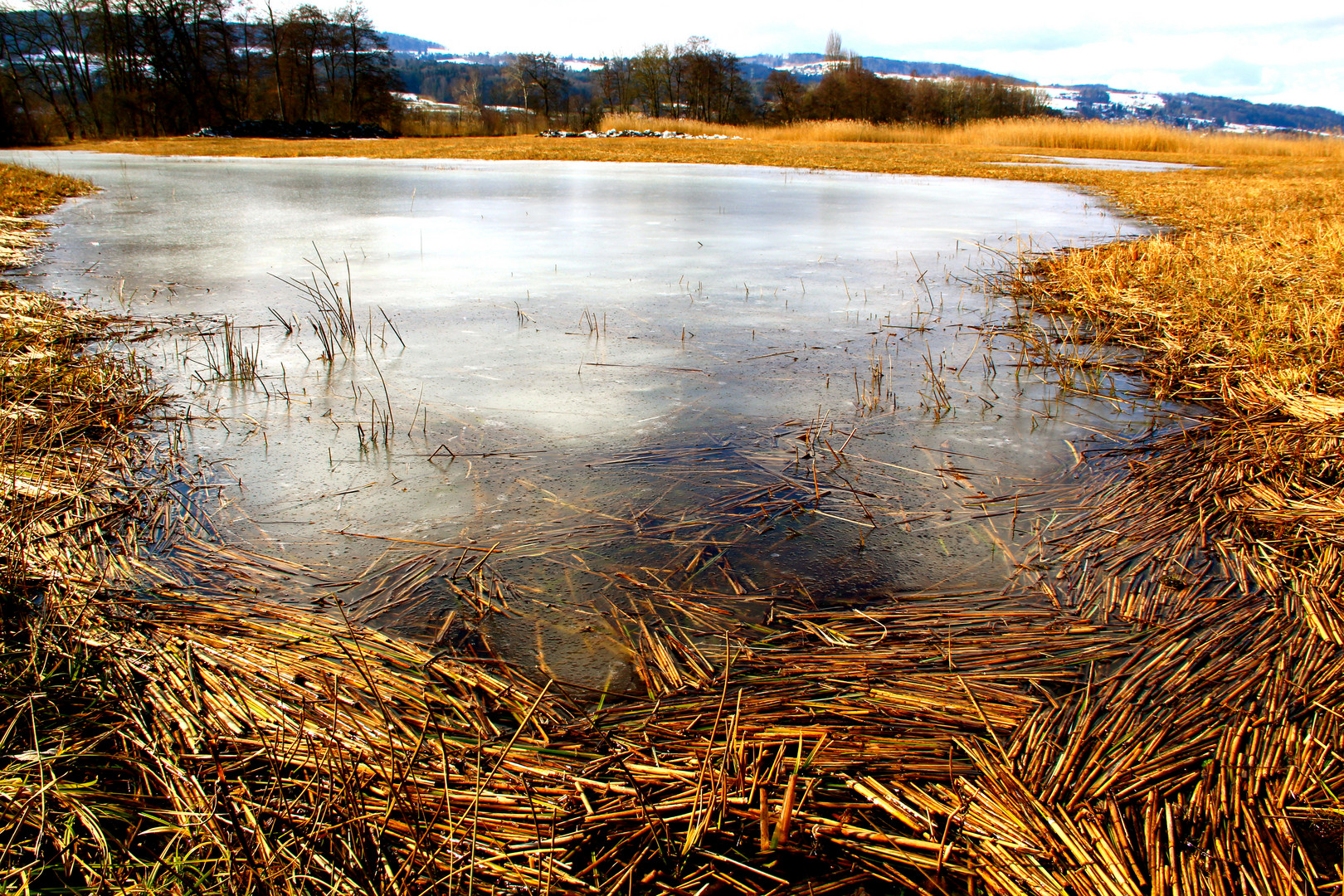 Umgebung Greifensee