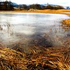 Umgebung Greifensee