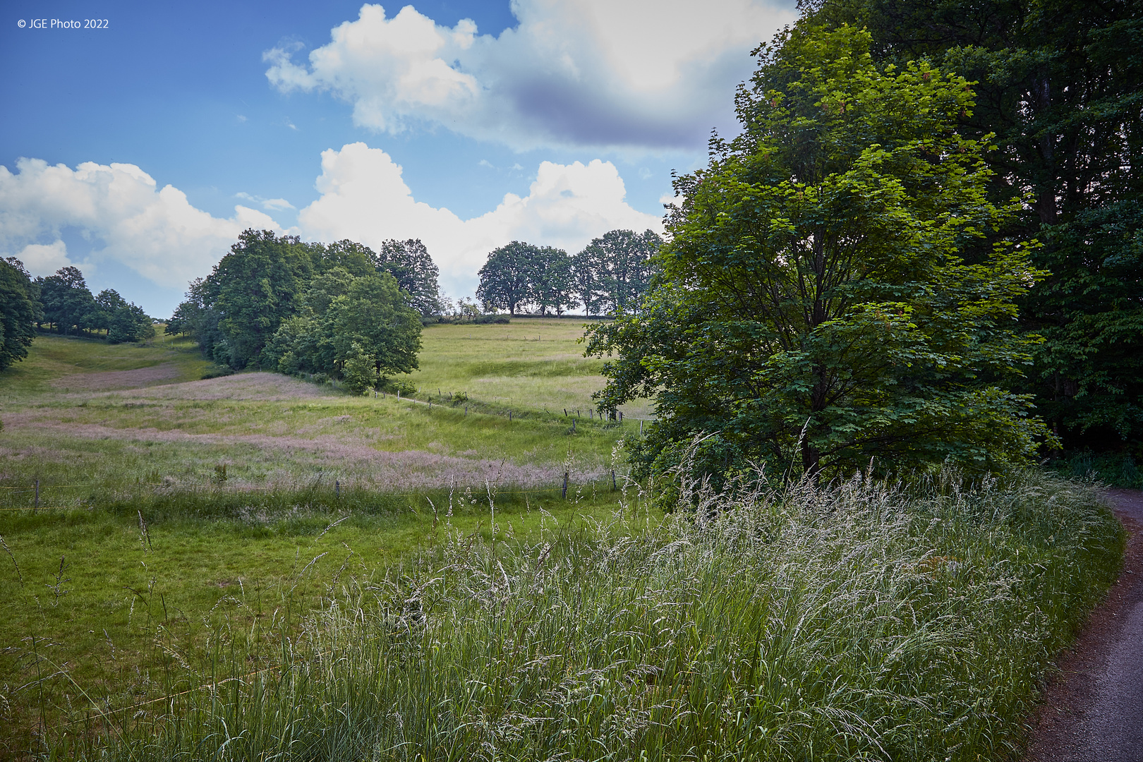 Umgebung Trippstadt 