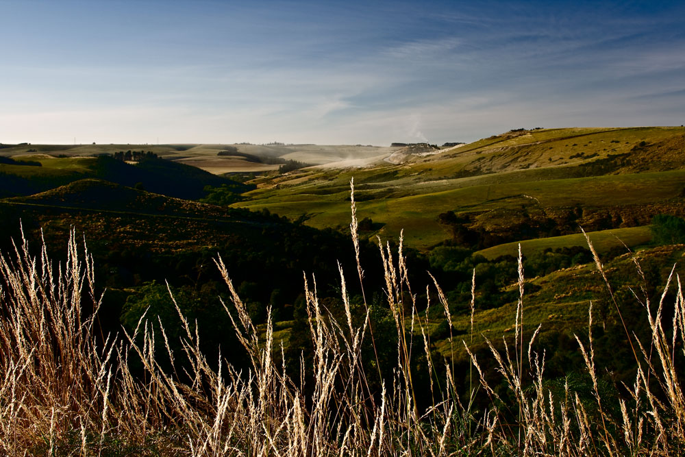 Umgebung von Akaroa