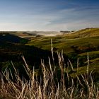 Umgebung von Akaroa