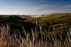 Umgebung von Akaroa