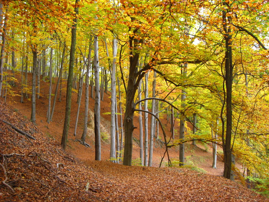 Umgebung von Bad Muskau