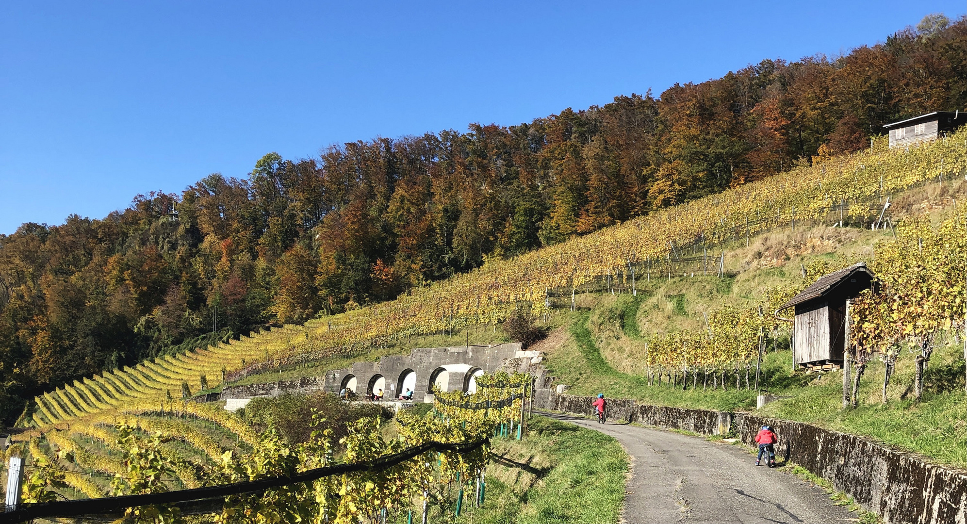 Umgebung von Baden ,Aargau. 