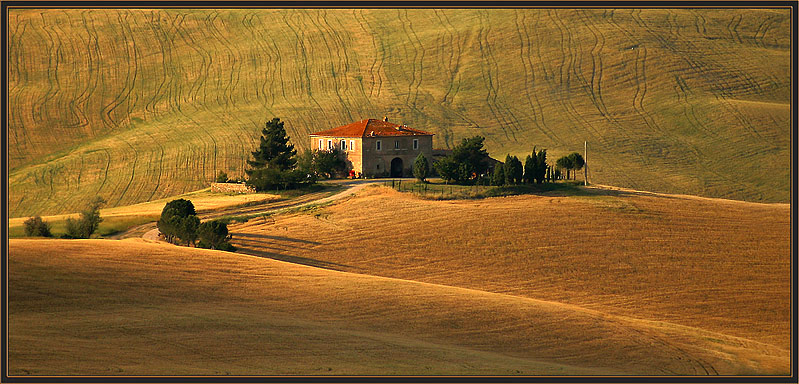 Umgebung von Montalcino-Toskana