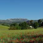 Umgebung von Ronda, Andalusien