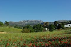 Umgebung von Ronda, Andalusien