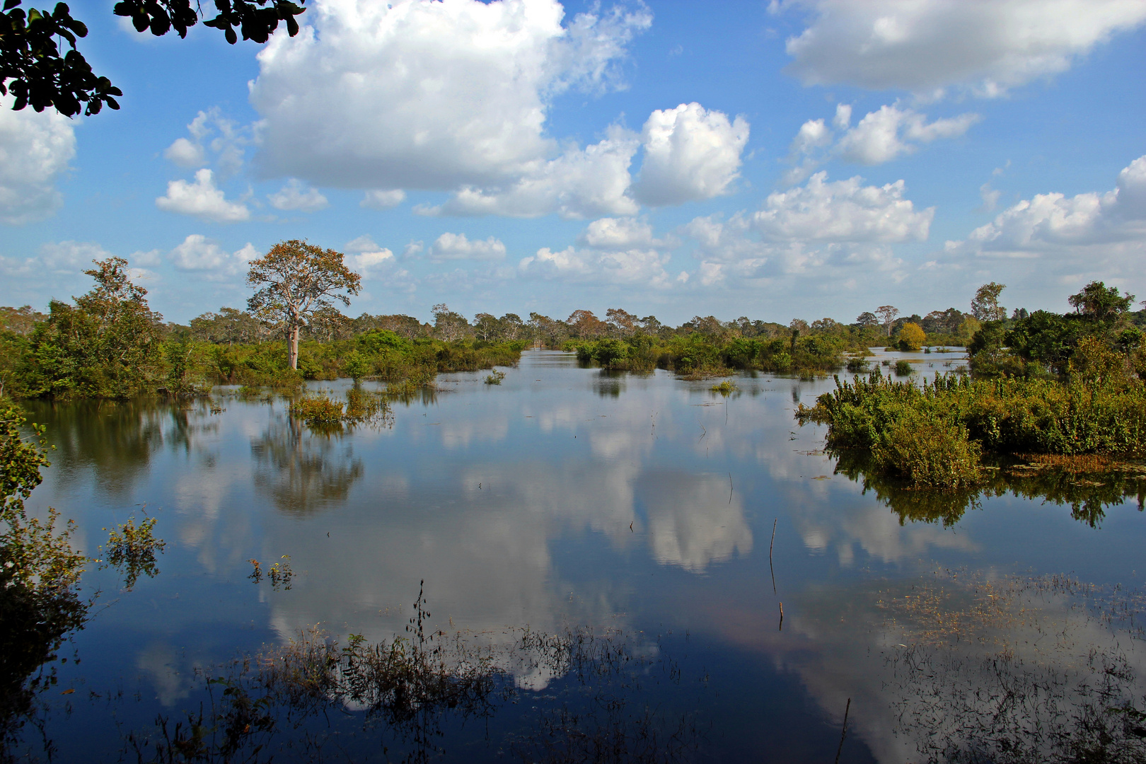 Umgebung von Siem Reap (Kambodscha)