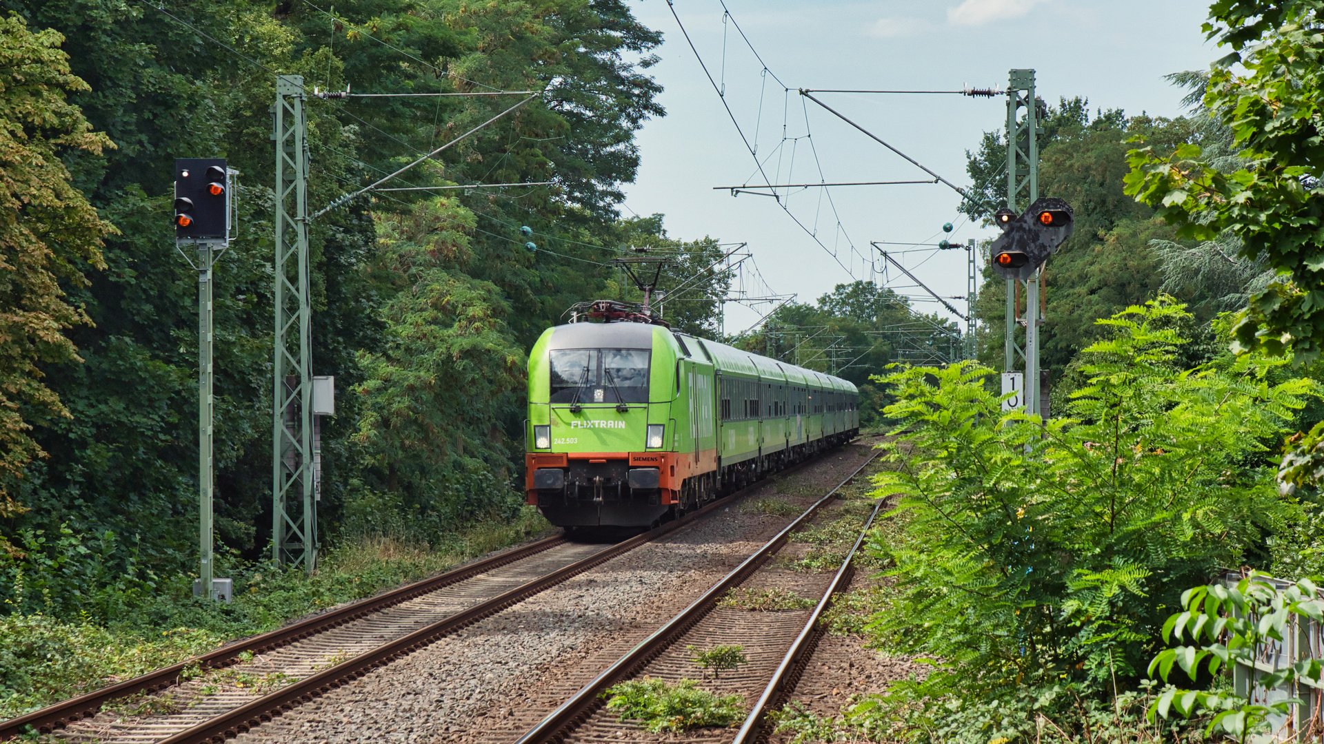 Umgeleitete Züge in Hilden (6)