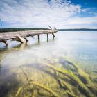 Umgestürzte Bäume am Rande eines Sees mit Spiegelung der schönen Wolken im Wasser