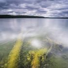 Umgestürzte Bäume am Rande eines Sees mit Spiegelung der schönen Wolken im Wasser