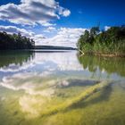 Umgestürzte Bäume am Rande eines Sees mit Spiegelung der schönen Wolken im Wasser