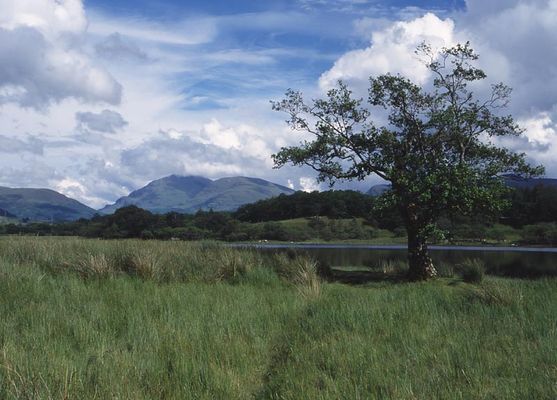 Umland des Kilchurn Castle