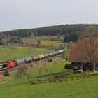 Umleitergüterzug im frühlingshafen Schwarzwald