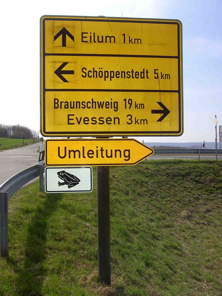 Umleitung für Kröten.