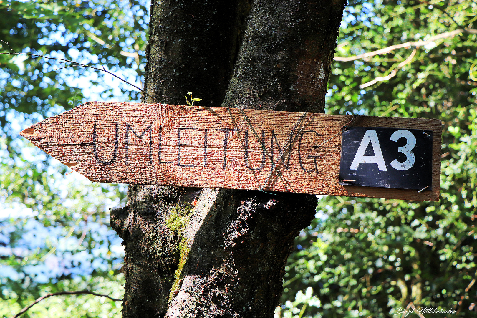 Umleitung im Wald