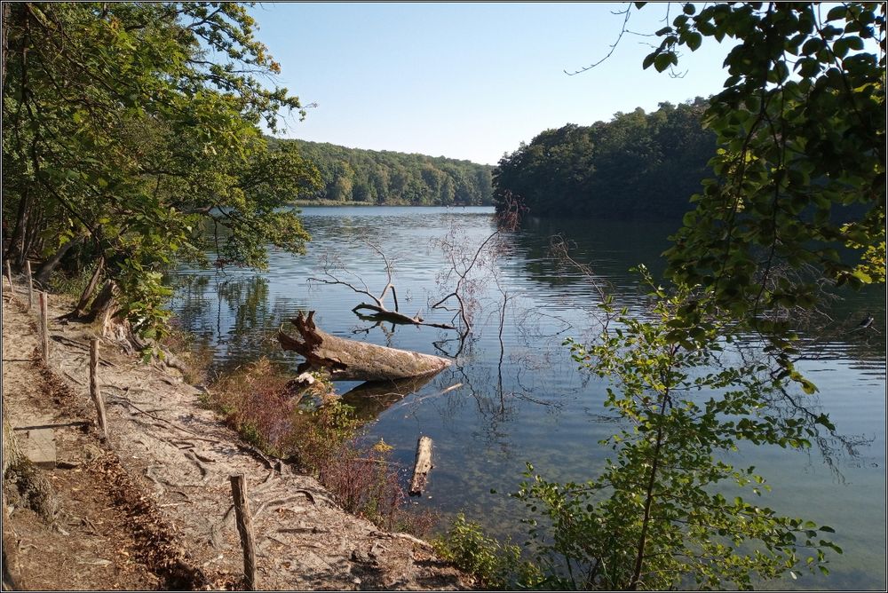 umn Schlachtensee