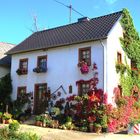 Umrankt von herbstlichem Weinlaub