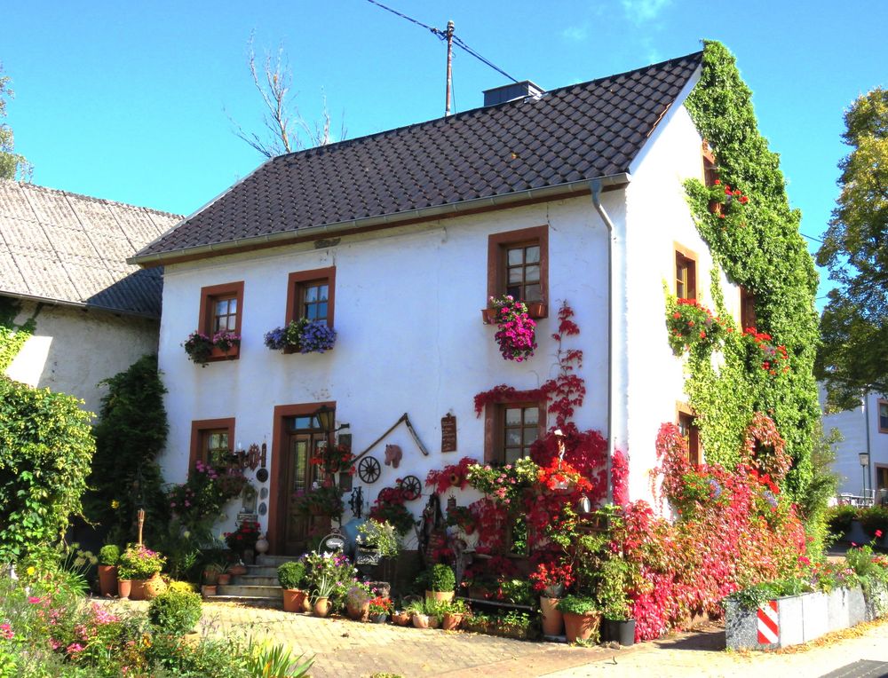 Umrankt von herbstlichem Weinlaub