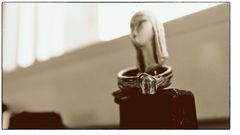 umringt