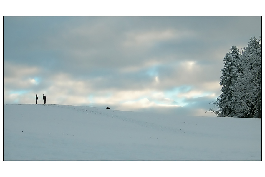 Umrisse in der Winterlandschaft...