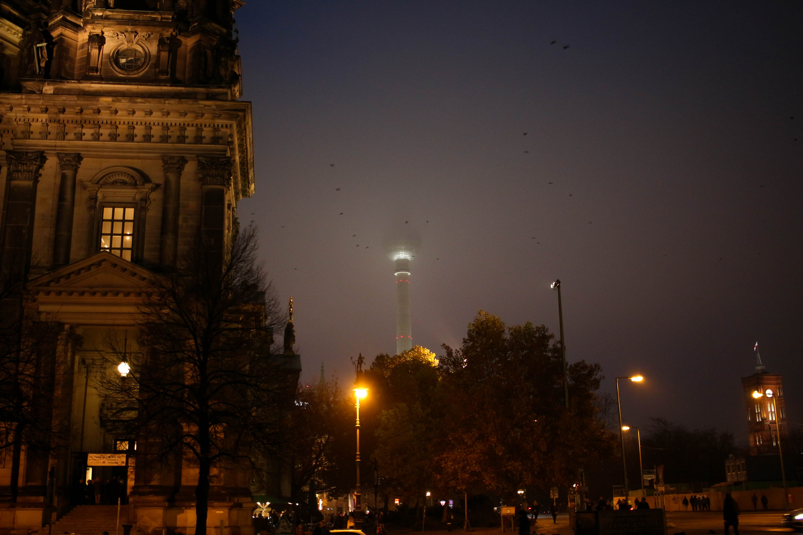 Umschlungen vom Nebel