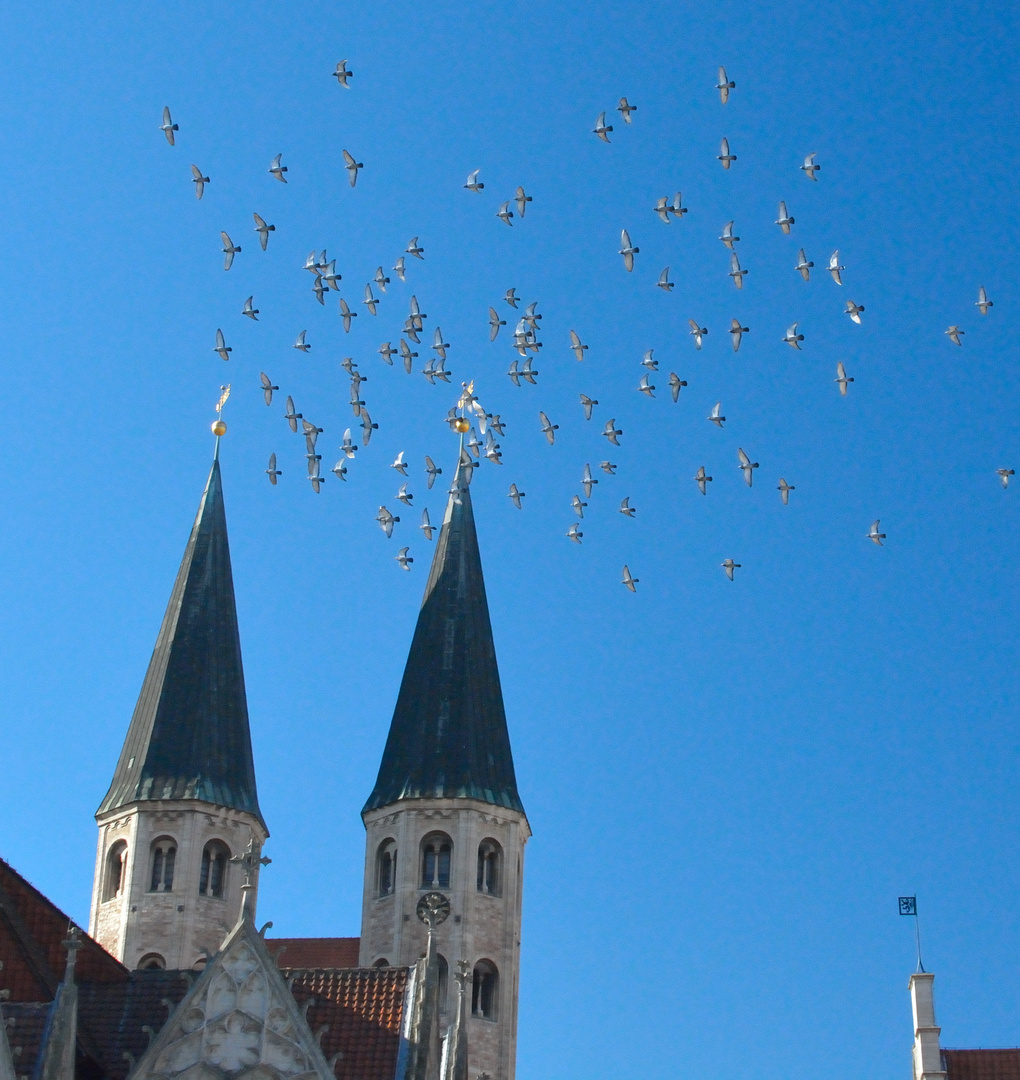 umschwärmte kirche