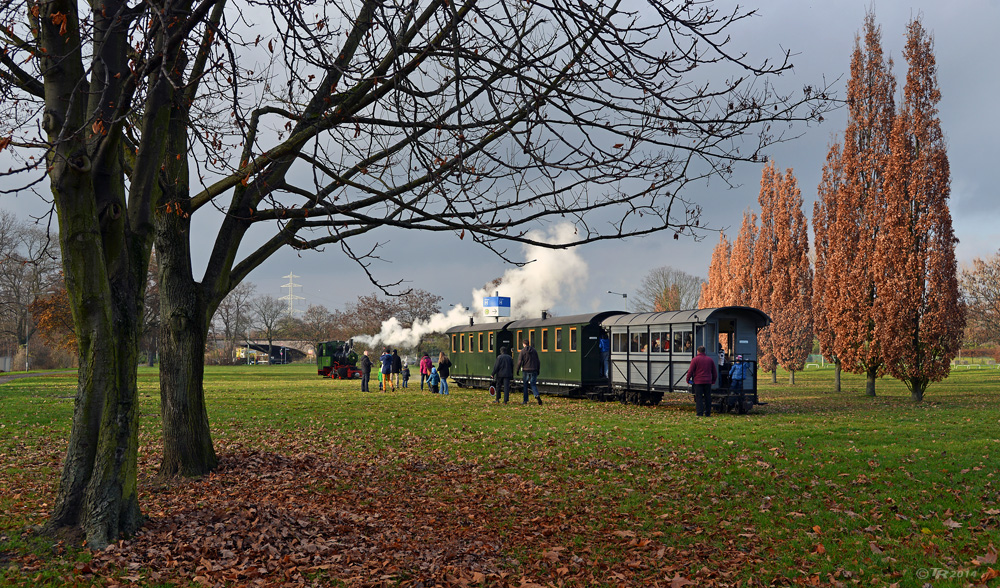 Umsetzen im Park - I -