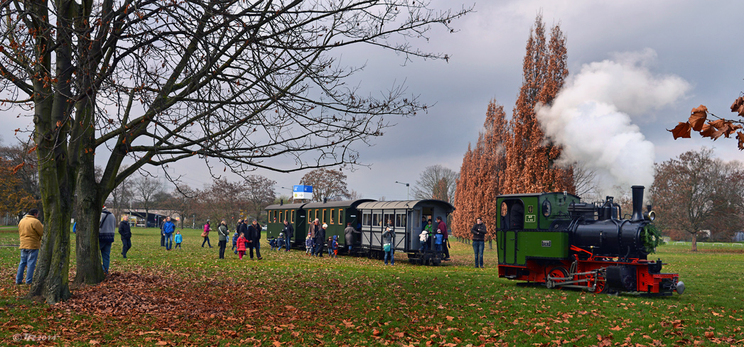 Umsetzen im Park - II -