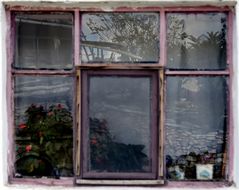 Umwelt in der Fensterspiegelung