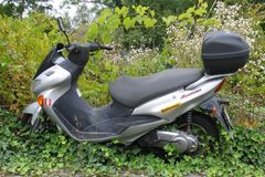 Umweltbewusster Scooter sicher ohne Abgase im 2008