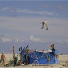 Umweltbewusstes Bauen konsequent umgesetzt am Strand auf Amrum.