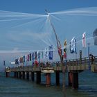 Umweltfotofestival in Zingst (1)