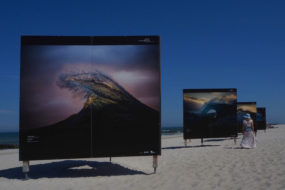 Umweltfotofestival in Zingst (3)