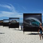 Umweltfotofestival in Zingst (4)