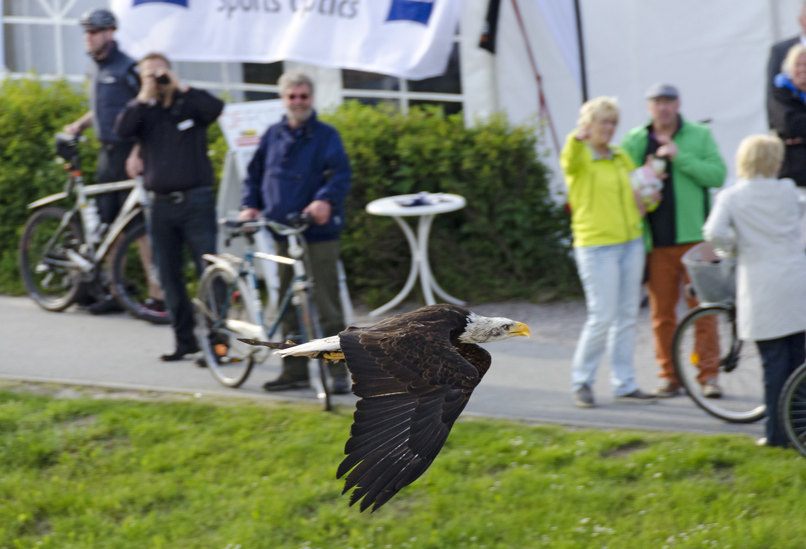 Umweltfotofestival Zingst 2013 Pict.2