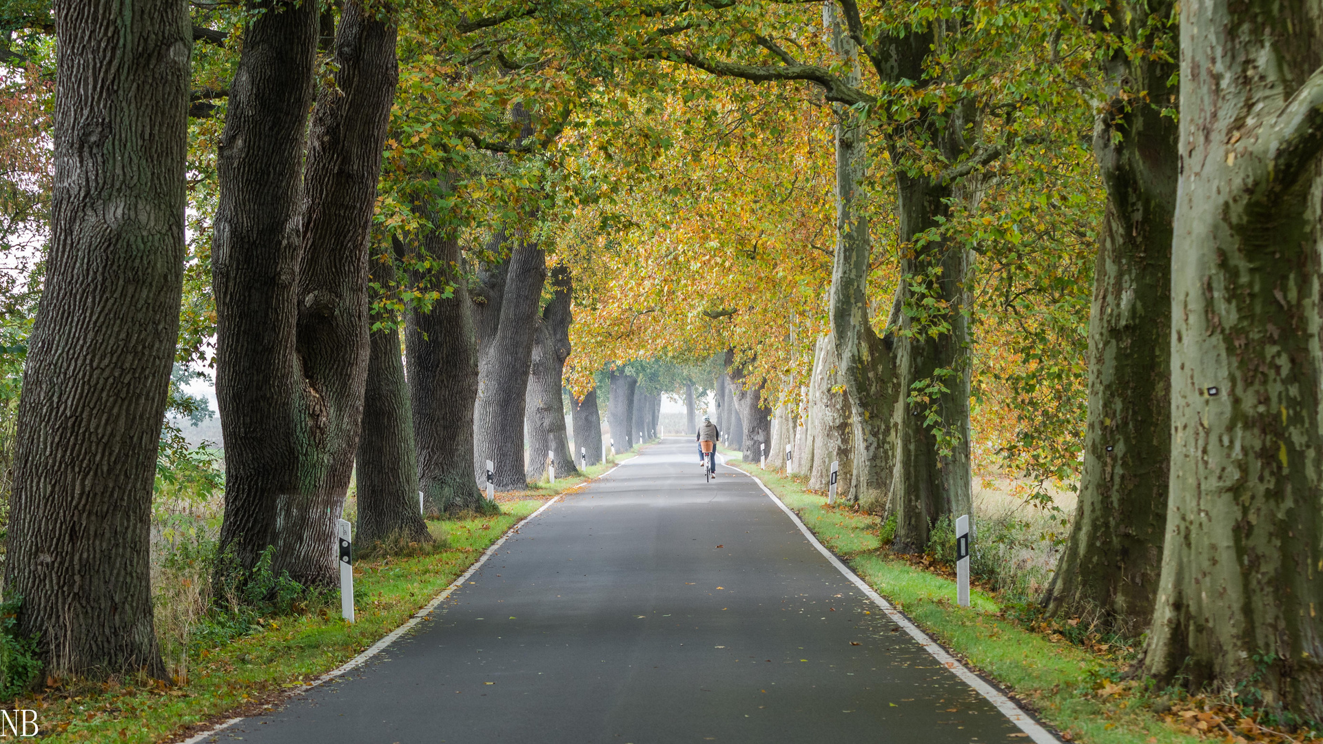 "Umweltfreundlich durch die Allee 2022"