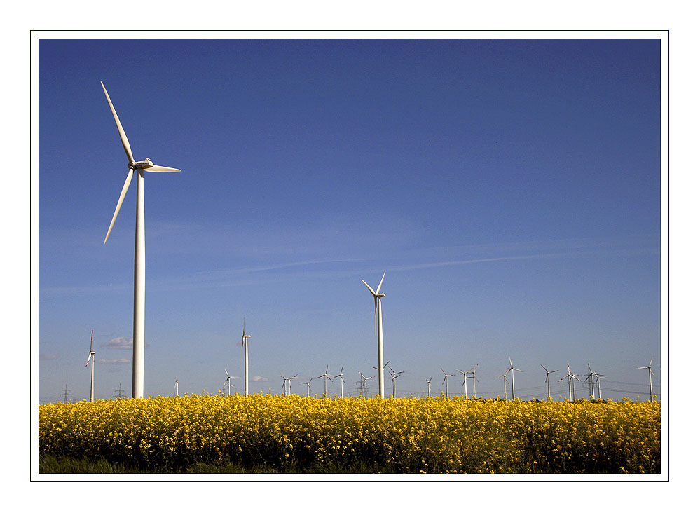 Umweltfreundliche Energie