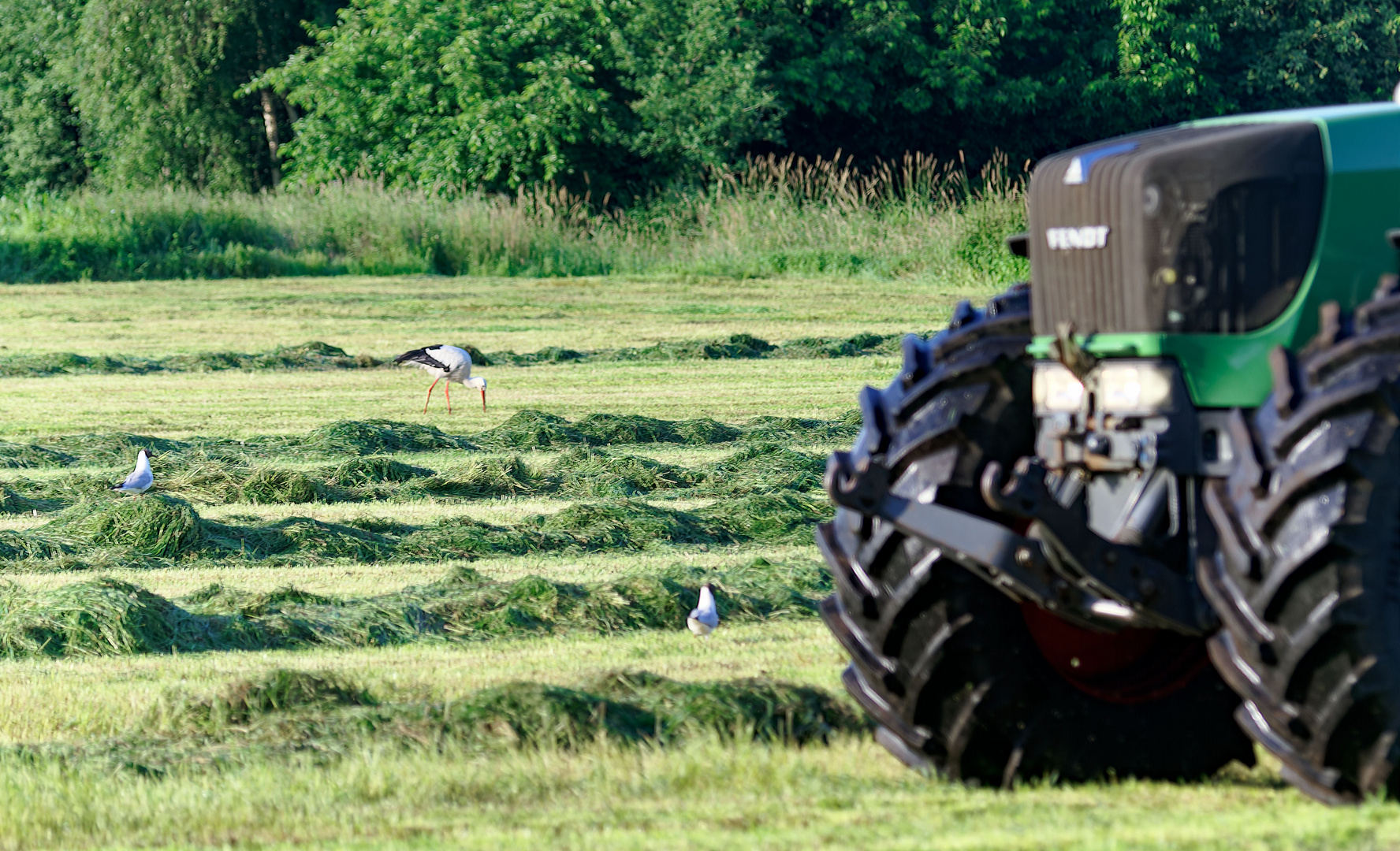 Umweltfreundliche Landwirtschaft!