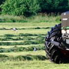 Umweltfreundliche Landwirtschaft!