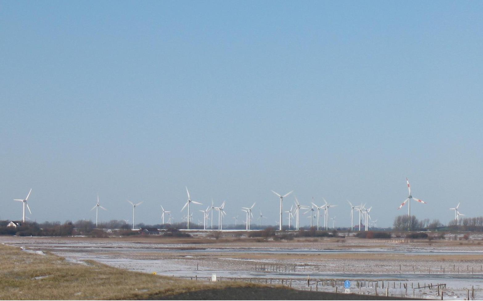 Umweltschützende Technik trifft Natur