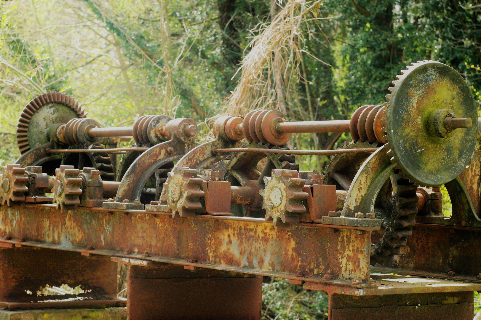 Umweltzentrum Heerser Mühle