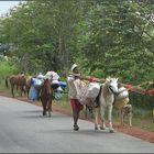 Umzug in Karnataka