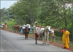 Umzug in Karnataka