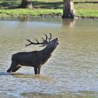 Un 18 Cors fait ses gammes