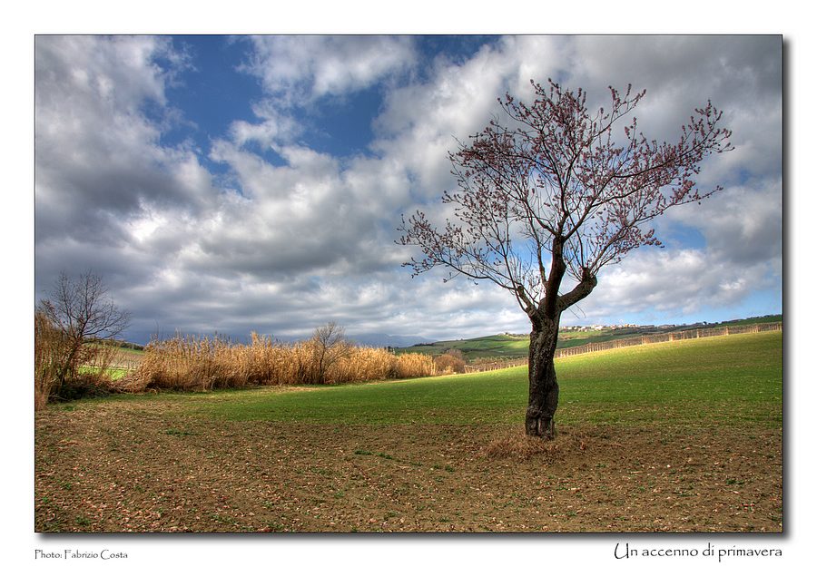 Un accenno di primavera