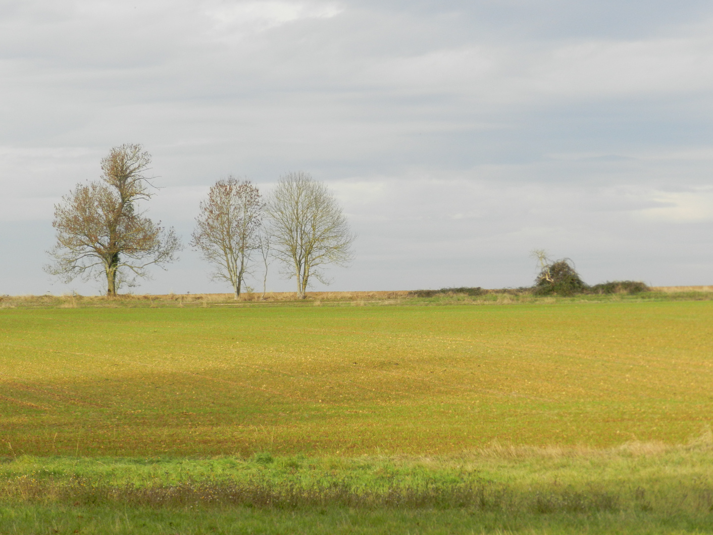 un air de campagne